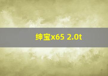 绅宝x65 2.0t